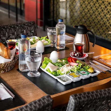 Emsa Palace Hotel *