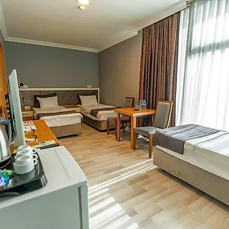 Hotel Emsa Palace *