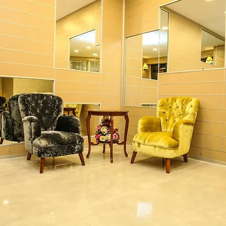 Emsa Palace מלון *